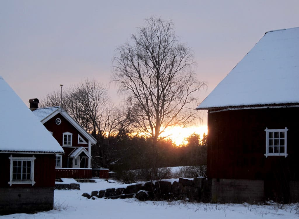 The neighbour's house